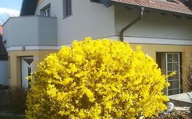 Vronis-Apartment